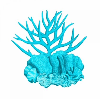 Picture of BLUE CORAL 1