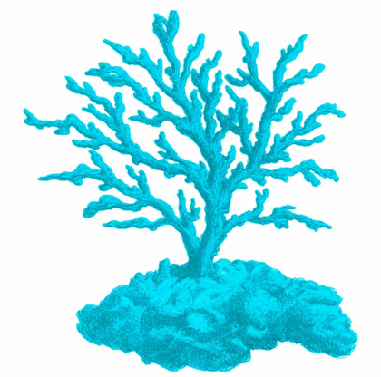 Picture of BLUE CORAL 4
