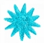 Picture of BLUE CORAL 5