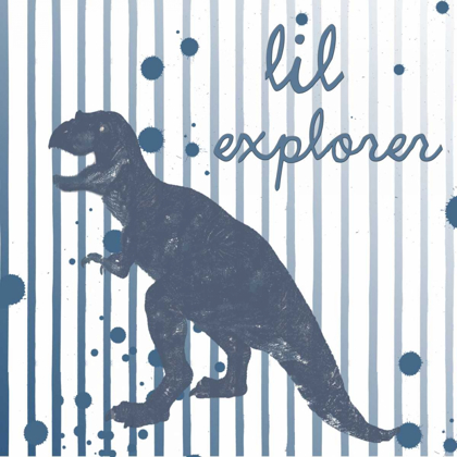 Picture of LIL EXPLORER