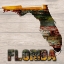 Picture of FLORIDA WOODEN MAP