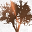 Picture of TREE OF WISDOM 4