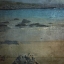 Picture of DRIFT WOOD
