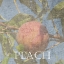 Picture of PEACH