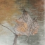 Picture of A MOMENT WITH NATURE 1