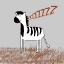 Picture of MR ZEE