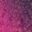 Picture of CRYSTAL NIGHT