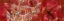 Picture of RED AND WINGS