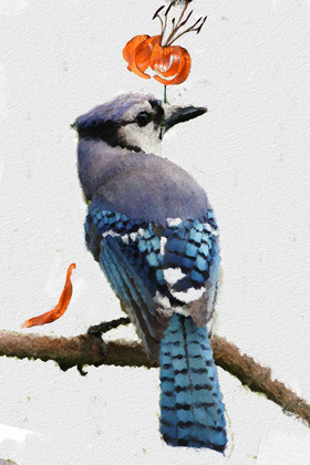 Picture of FLOWERING BLUE JAY