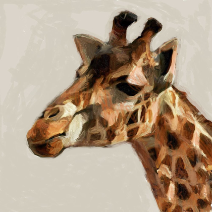 Picture of GIRAFFE PORTRAIT