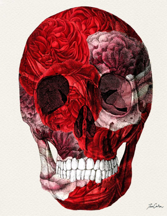 Picture of SKULL WITH ROSES