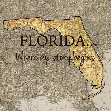 Picture of STORY FLORIDA