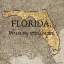 Picture of STORY FLORIDA