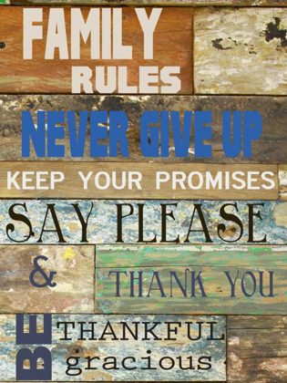 Picture of FAMILY RULES COOLS