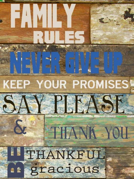 Picture of FAMILY RULES COOLS
