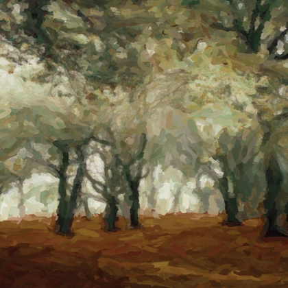 Picture of CINNAMON FOREST 1