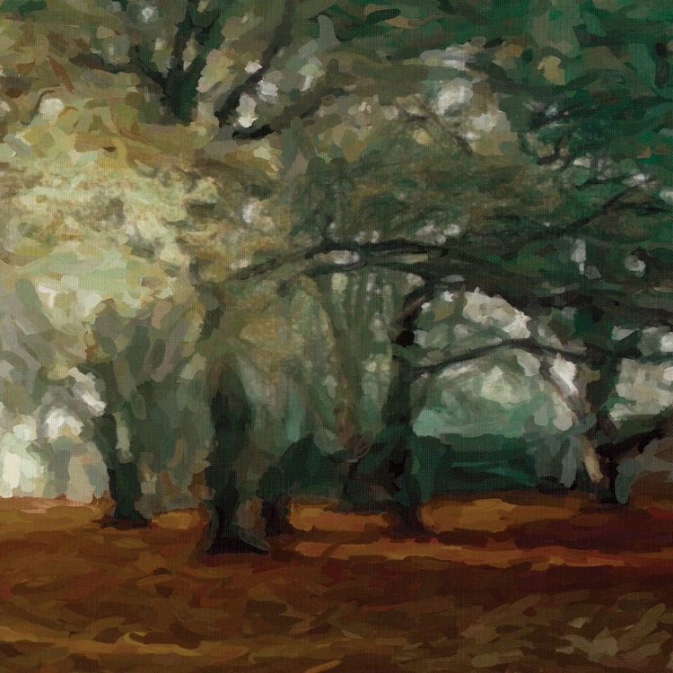 Picture of CINNAMON FOREST 2