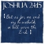 Picture of INDIGO JOSHUA