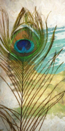 Picture of PEACOCK FEATHER 2
