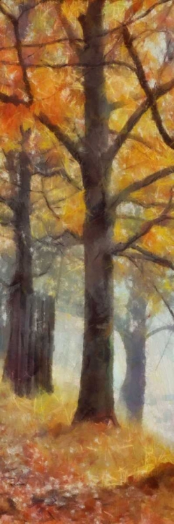 Picture of AMBER TRAIL PANEL II