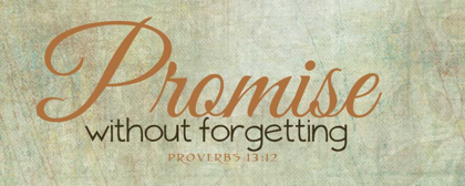 Picture of PROMISE
