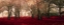 Picture of CRIMSON PANORAMA