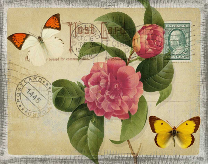 Picture of VINTAGE BUTTERFLY POSTCARD I