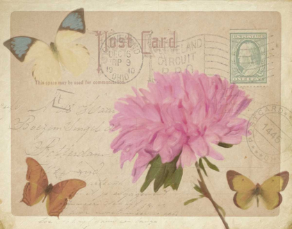 Picture of VINTAGE BUTTERFLY POSTCARD III