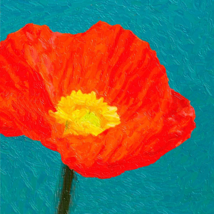 Picture of POPPIES ON BLUE1