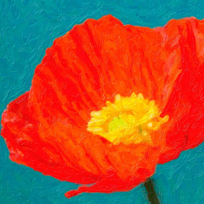 Picture of POPPIES ON BLUE 2