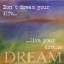 Picture of DREAM