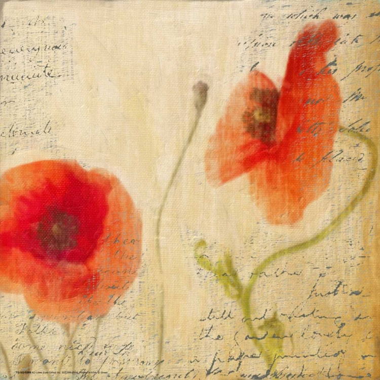 Picture of POPPY SCRIPT II