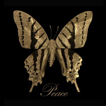Picture of PEACE GOLD BUTTERFLY