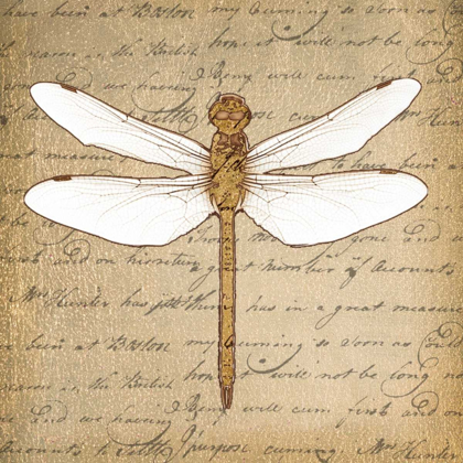 Picture of DRAGONFLY ON GOLD
