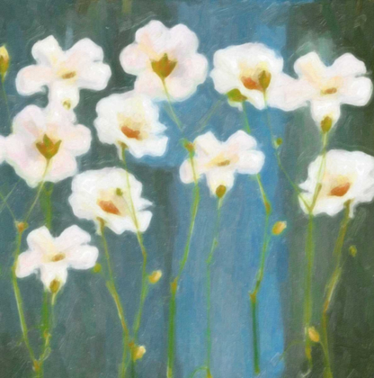 Picture of WHITE FLOWER FIELD II