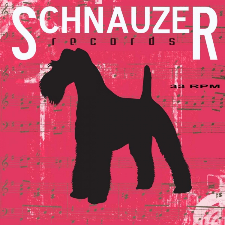 Picture of SCHNAUZER