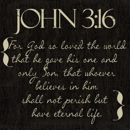 Picture of JOHN 3-16
