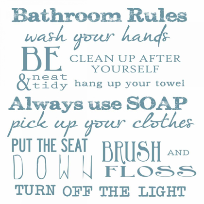 Picture of BATHROOM RULES WHITE