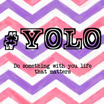 Picture of YOLO 2