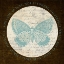 Picture of LOVE BUTTERFLY