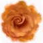 Picture of ORANGE ROSE