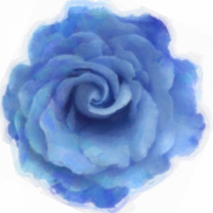 Picture of BLUE ROSE