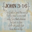 Picture of JOHN 3-16