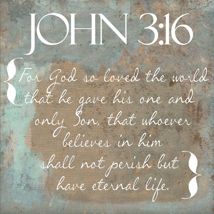 Picture of JOHN 3-16