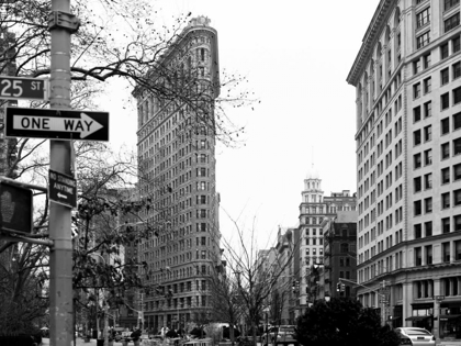 Picture of FLAT IRON BW