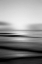 Picture of TROPICAL SORBET BW