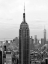 Picture of EMPIRE STATE