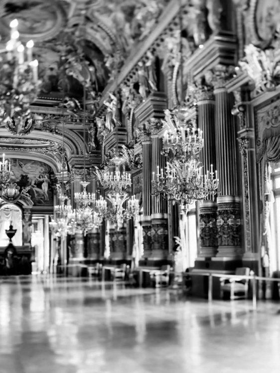 Picture of PALAIS GARNIER