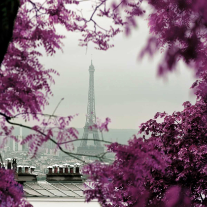 Picture of THROUGH THE PARIS FOLIAGE 1