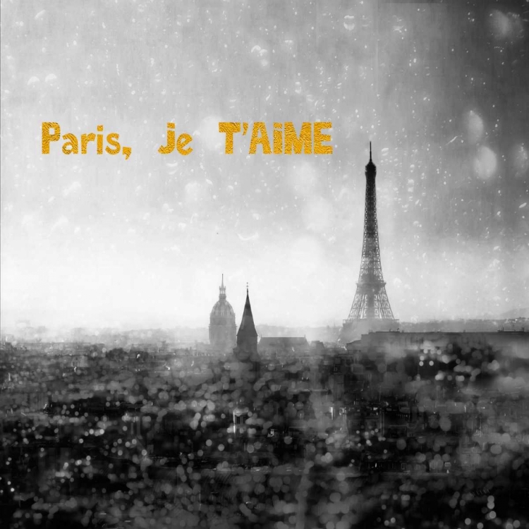Picture of PARIS JE AIME ENLIGHT